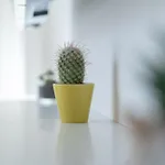 Ecosmart 아파트 *