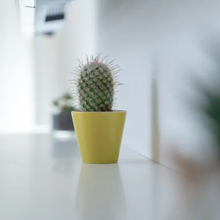 Ecosmart Apartment *