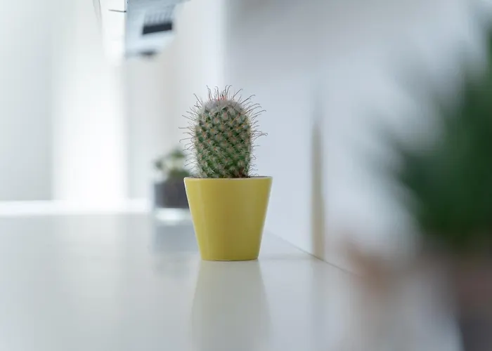 Ecosmart Lägenhet *