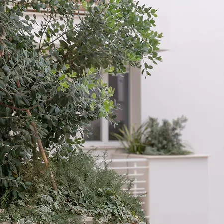 Ecosmart Apartmán